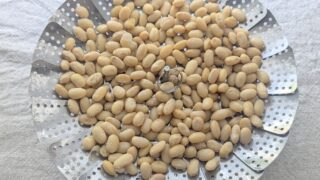 蒸し大豆の出来上がり