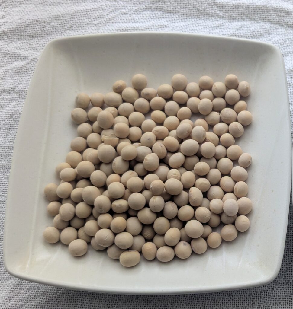 輸入大豆（カナダ産）