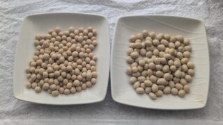 輸入大豆と国産有機大豆